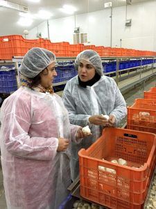 visitapalomacooperativaajos