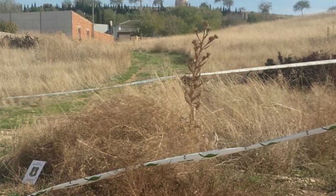 Encuentran los cadáveres de tres perros en Belmonte
