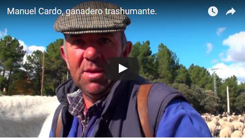 Trashumancia. No todo es idílico