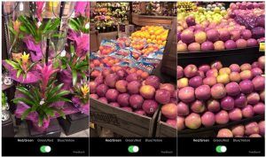 Microsoft lanza una aplicación para que los daltónicos puedan ver colores tal y como son