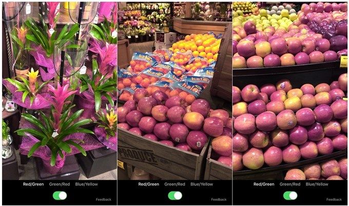 Microsoft lanza una aplicación para que los daltónicos puedan ver colores tal y como son