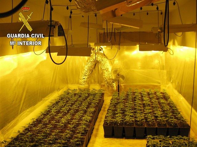 La Guardia Civil detiene a tres personas en El Casar por cultivar marihuana 2 La Guardia Civil detiene a tres personas en El Casar por cultivar marihuana