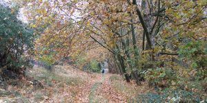 pr_63-marcha-20nov-7