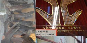 2016 12 15 Cuerna en crecimiento en tiendas chinas