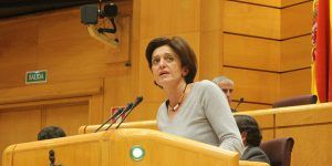 Ana Gonzalez hoy durante la sesion en el Senado