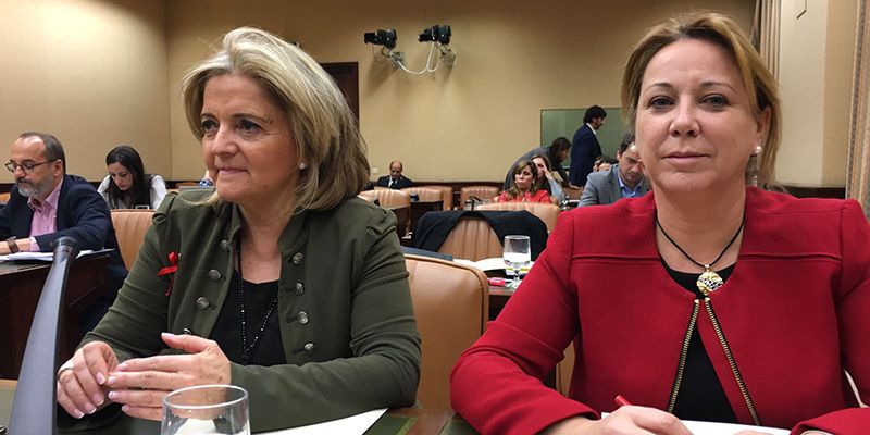 El PP pide analizar las posibilidades de actuación y ampliación del Programa de Activación para el Empleo