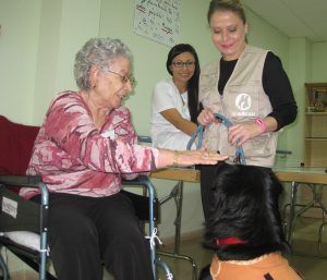 El Gobierno regional inicia un programa de terapias asistidas con perros para la estimulación de personas mayores en residencias de la región