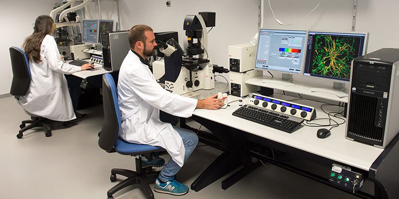 Formación para impulsar la Neurociencia, objetivo de la Fundación del Hospital Nacional de Parapléjicos para el nuevo año