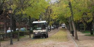 El Ayuntamiento de Guadalajara intensifica las labores para la retirada de las hojas de los árboles