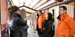 InteriorEdificioAlbergueAnimales