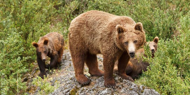 El Hosquillo cierra la temporada 2016 con casi 4.000 visitas más que el año anterior