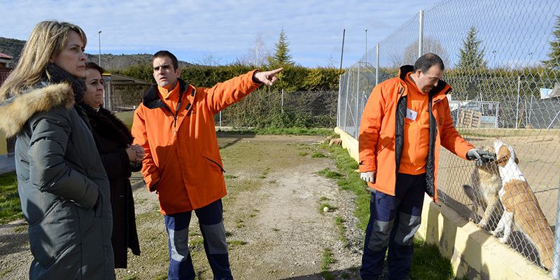 Casado comprueba in situ el buen desarrollo de las labores de limpieza y mejora del Albergue de Animales