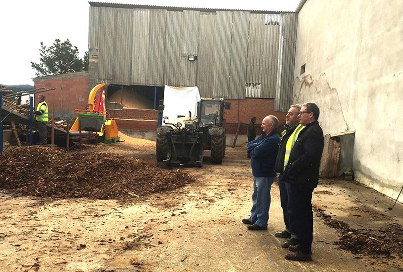 El director provincial de Agricultura de Guadalajara visita una planta de biopellets en Cantalojas que cuenta con ayuda del programa Leader 1 Planta biopellets