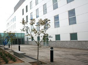 cedt tarancon 2