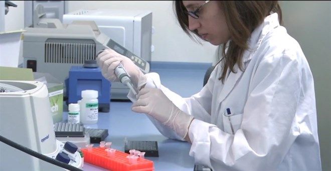 Una ‘startup’ española idea un kit de diagnóstico para la leucemia similar a un test de embarazo