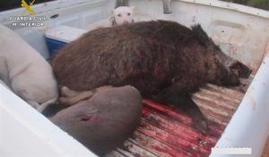 fotonoticia 20161209130034 470 108 108 0 0