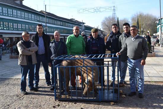 PACMA solicita el decomiso del ‘guarrillo’ de San Antón de Almagro