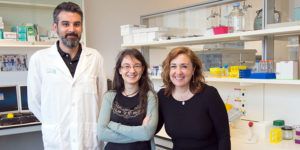 Investigadores del Hospital Nacional de Parapléjicos volcados en construir un bypass activo que permita la reconexión neural