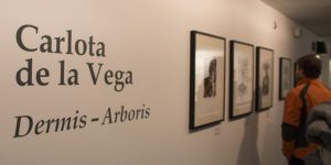 022022 170208 SER 001