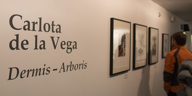 La exposición ‘Dermis-Arboris’ muestra en la sala ACUA de Cuenca el recorrido artístico de su autora