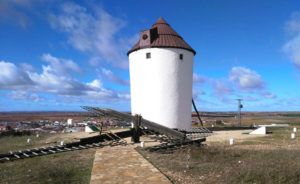 16508563 405390596471334 9080397938097879975 n