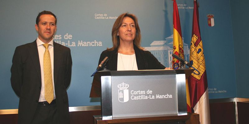 Guarinos denuncia que los ciudadanos vamos a pagar 41 millones de euros «para tapar las vergüenzas de Page a través de CMM»