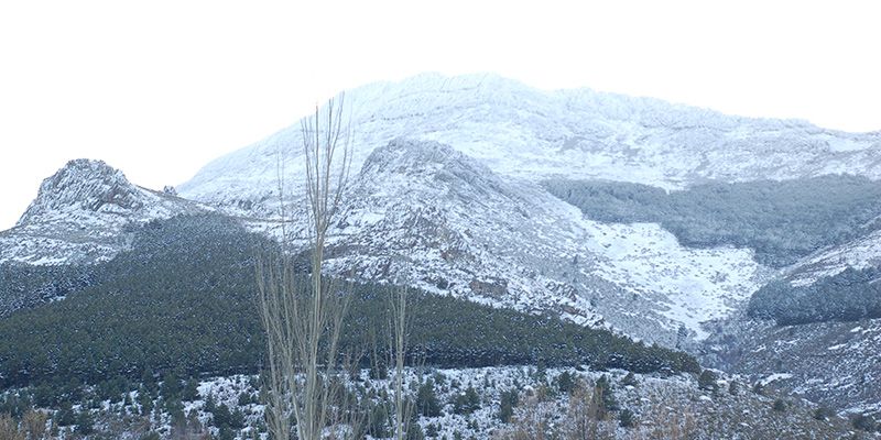 Vuelve la nieve, hasta el domingo, a la Sierra Norte de Guadalajara