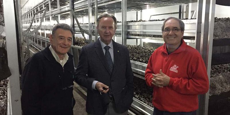 El presidente de Globalcaja destaca la gran labor del sector cooperativo en su visita a Mercajucar