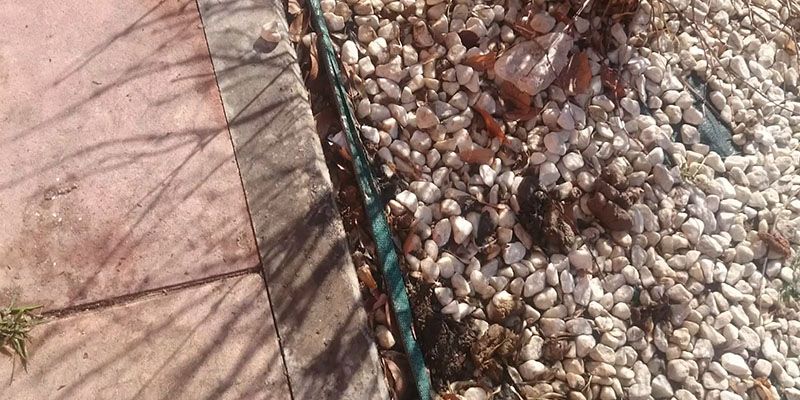 La Policía Local de Guadalajara se pone seria para exigir a lo dueños de perros la recogida de los excrementos caninos