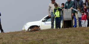 Un momento de la liberación de NOU