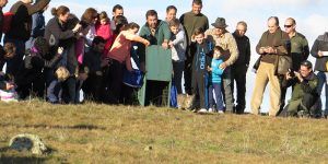 Un momento de la liberación de Natureza
