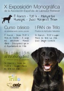 cartel labradores retriever OK