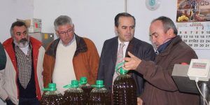 cooperativa navalmorales