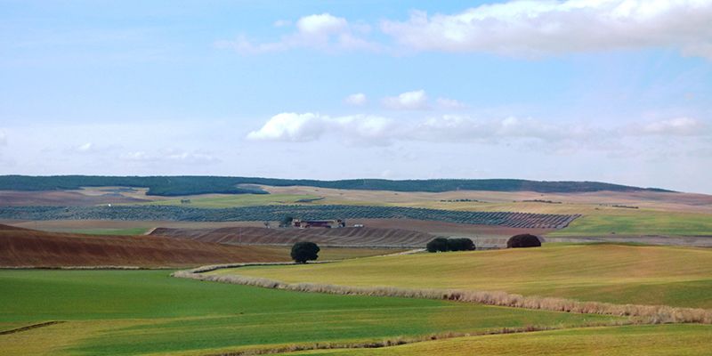 ASAJA de Cuenca, Soria y Teruel aúnan esfuerzos para reivindicar y trabajar en favor de su campo