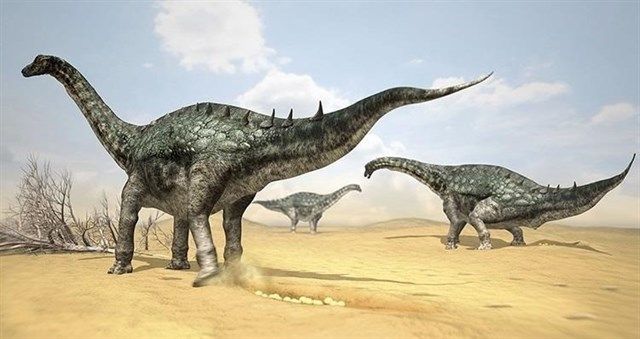 Descubren el uso de la armadura de los últimos dinosaurios gigantes de la serranía de Cuenca