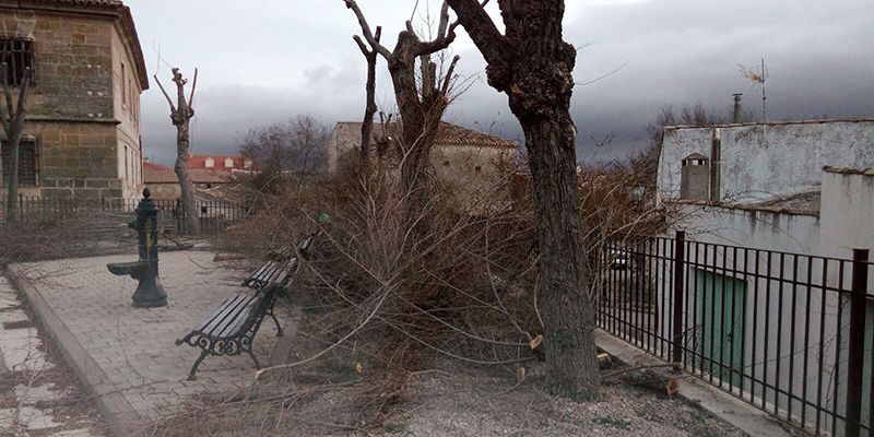 Huete lleva a cabo la poda anual en parques, jardines y plazas