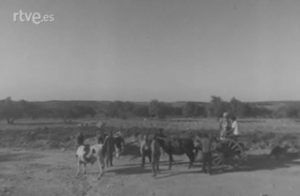 Raíces del Liberal hace 30 años en La Endiablada. “Que los suenen mama, que los suenen. Que el año que viene ya los sonaré yo lo mejor que pueda”. 7 san blas en carro y burros