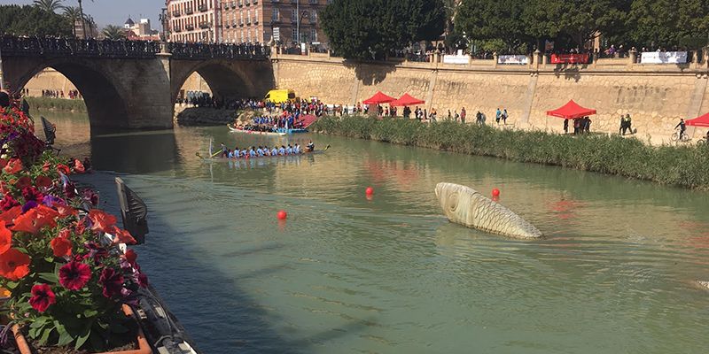 Excelente actuación del Club Piragüismo Cuenca en la II Regata Ciudad de Murcia