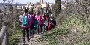 Continúan las jornadas senderistas “Cuenca, Deporte y Naturaleza” organizadas por la Junta y la Diputación 