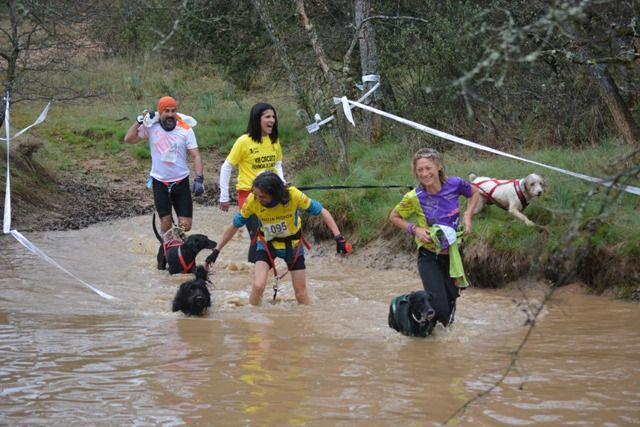 Gran animación en el X Canicross de Humanes, último del Circuito Diputación Provincial 3 Gran animación en el X Canicross de Humanes, último del Circuito Diputación Provincial