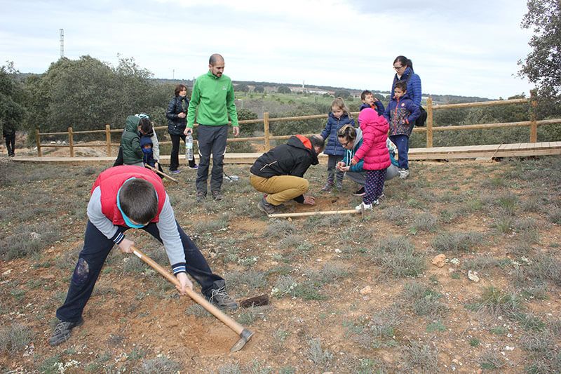 Yebes celebra el Día del Árbol con la plantación de 75 encinas y fresnos en el bosque de Valdenazar 3 Yebes celebra el Día del Árbol con la plantación de 75 encinas y fresnos en el bosque de Valdenazar