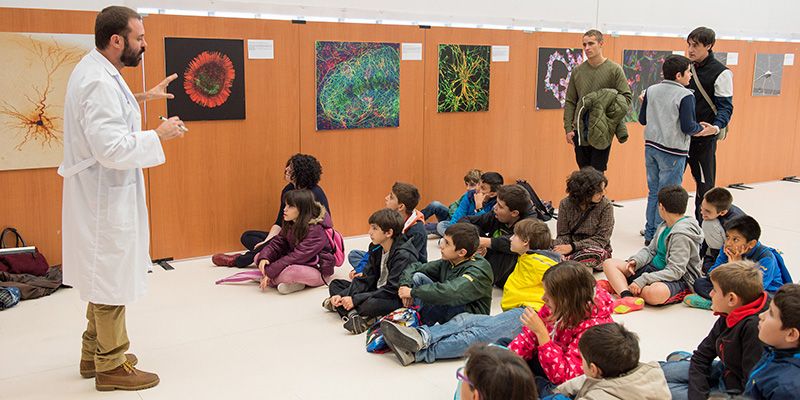 Semana del Cerebro Hospital Parapléjicos