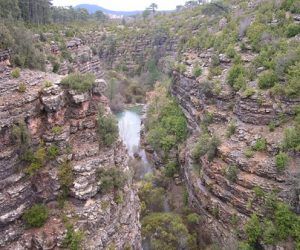 UGT celebrará el martes en Cuenca el Día Mundial Forestal convocando el Premio Agracejo de Oro