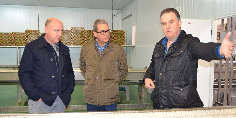 Agricultura anima a los productores de espárragos de Guadalajara a que se constituyan en una agrupación con una marca de calidad