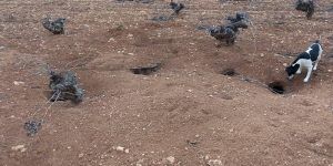 ASAJA no puede más y convoca concentraciones de tractores por toda Castilla-La Mancha