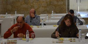 Manuel Buleo Ramírez y Julia Llorens López, ganadores del XXIX Concurso Nacional de Catadores de Miel