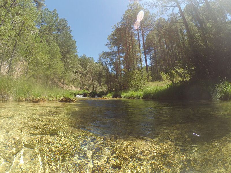 Villaconejos de Trabaje acoge el sábado la IIª Jornada de Exaltación de las Costumbres y Tradiciones de la Ribera del Escabas 3 Villaconejos de Trabaje acoge el sábado la IIª Jornada de Exaltación de las Costumbres y Tradiciones de la Ribera del Escabas