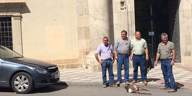 ASAJA apoya a los agricultores de la zona de El Campichuelo por los daños y el peligro de la caza mayor