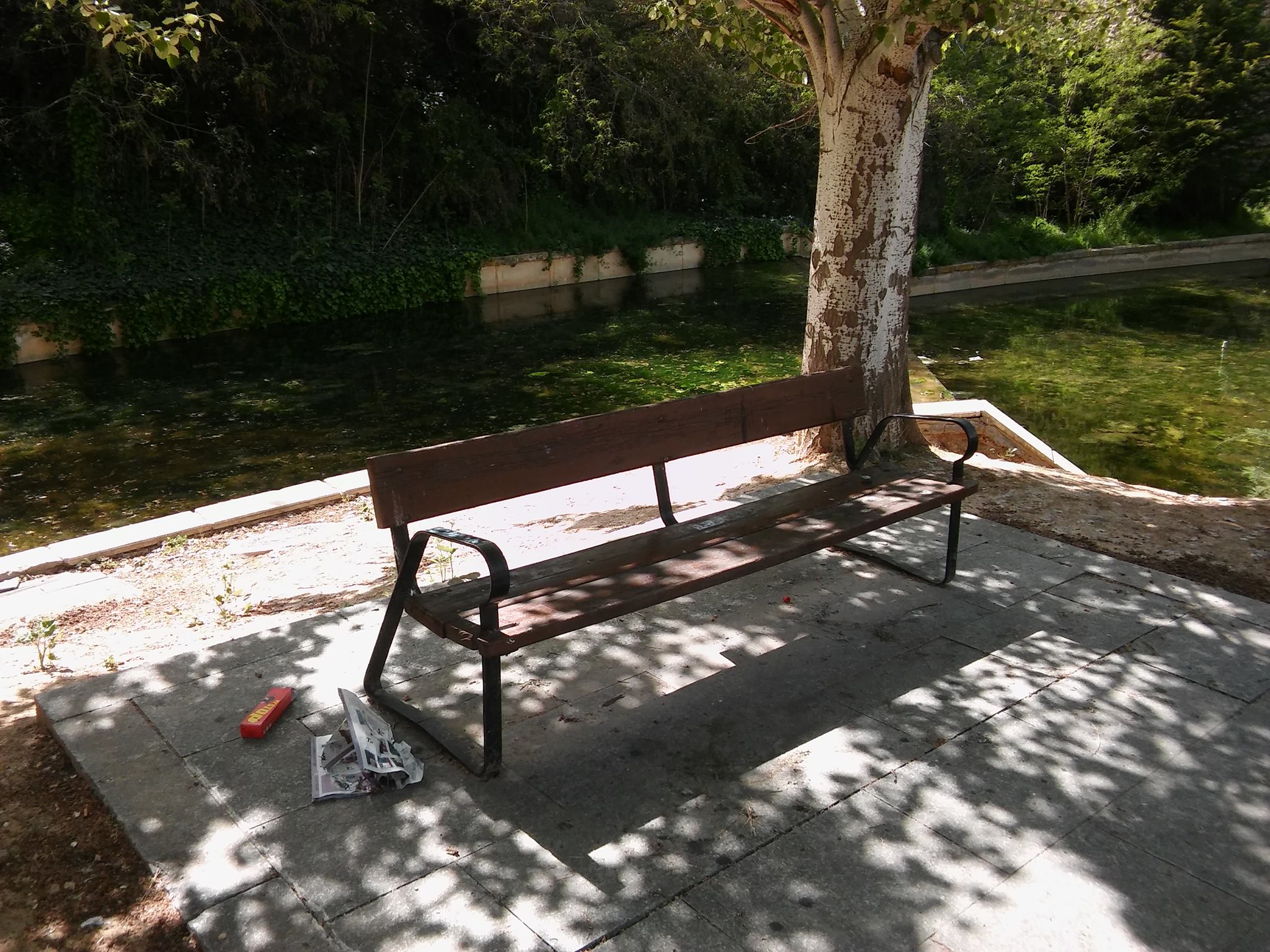 Ecologistas en Acción alerta de la caza de pájaros silvestres en liga en Guadalajara