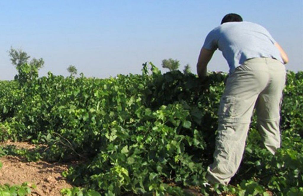 El Gobierno de España destina 1,3 millones a la provincia de Cuenca para el fomento del empleo en Zonas Rurales Deprimidas 2 El Gobierno de España destina 1,3 millones a la provincia de Cuenca para el fomento del empleo en Zonas Rurales Deprimidas